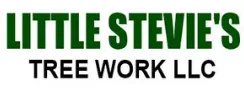  Little Stevie's Tree Work LLC