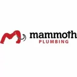 Mammoth Plumbing