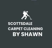 SCOTTSDALE CARPET CLEANING BY SHAWN