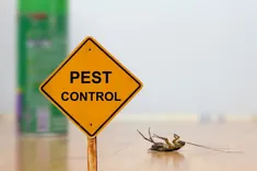 Frontline Pest Control Canberra