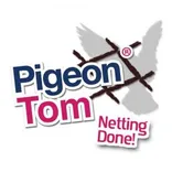 Pigeon Tom