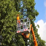 Rolling Hills Tree Services