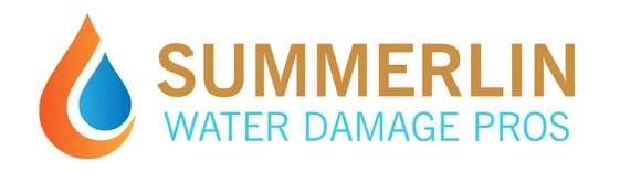 Summerlin Water Damage Pros