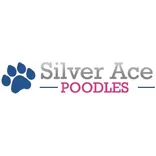 Silver Ace Poodles