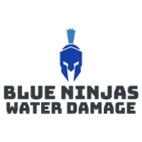Blue Ninjas Water Damage Restoration Roswell