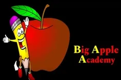 Big Apple Academy