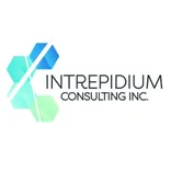 Intrepidium Consulting