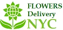 Plants Delivery Today NYC