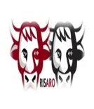 Risario UK Ltd