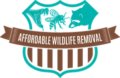 Affordable Wildlife Removal