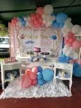   Mickey's Party Rental Corp