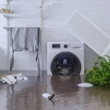 Water Damage Long Island Pros