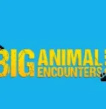 Big Animal Encounters