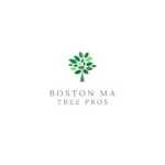 Tree Removal Malden MA - Boston MA Tree Pros