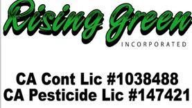 Rising Green Inc Tree & Landscaping