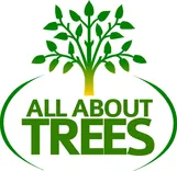 All About Trees