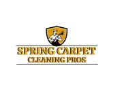 Spring Carpet Cleaning Pros