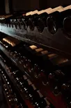Wine Kitz / Foster's Wine Cellar