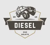 DIESEL EGR DELETE