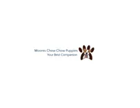 Moores Chow Chow Puppies