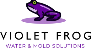 Violet Frog Environmental