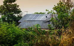 First Coast Solar Co