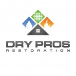Disaster Cleanup a Dry Pros Company