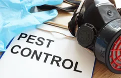 Scenic City Pest Control Solutions