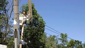 ABQ Tree Removal Co