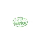 Kennel Labrador - Retriever " Labrafamily "