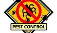 5 Star Pest Control & Bed Bug Exterminator 