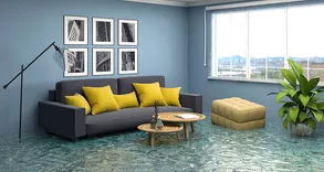 Spotless Flood Damage Restoration Sydney