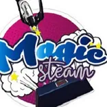 Magic Steam Carpet Cleaning