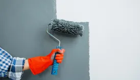Raleigh Painting Solutions