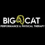 Big Cat Performance & Physical Therapy