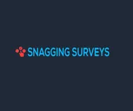 Snagging Surveys