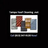 Tampa Roof Cleaning