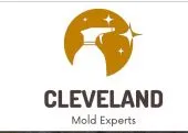 Mold Removal Cleveland Solutions