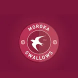 Moroka Swallows Blog