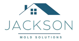 Mold Remediation Jackson MI Pros