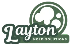 Mold Remediation Layton Experts