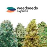 WeedSeedsExpress Deutschland