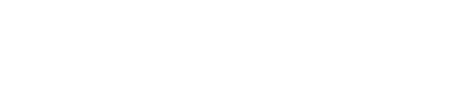 Action Video Productions, Inc.