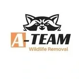 A-Team Wildlife Removal