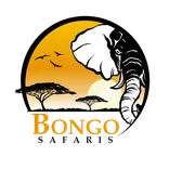 Bongo Adventures Limited