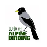 Alpine Birding