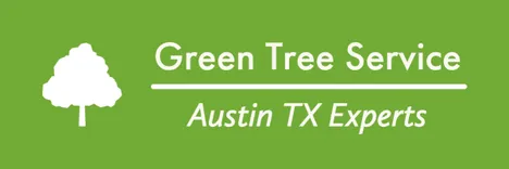 Green Tree Service Austin TX Experts