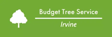 Budget Tree Service Irvine