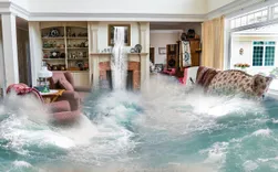 Flood Damage Restoration Surry Hills