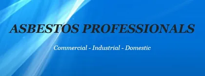 Asbestos Professionals